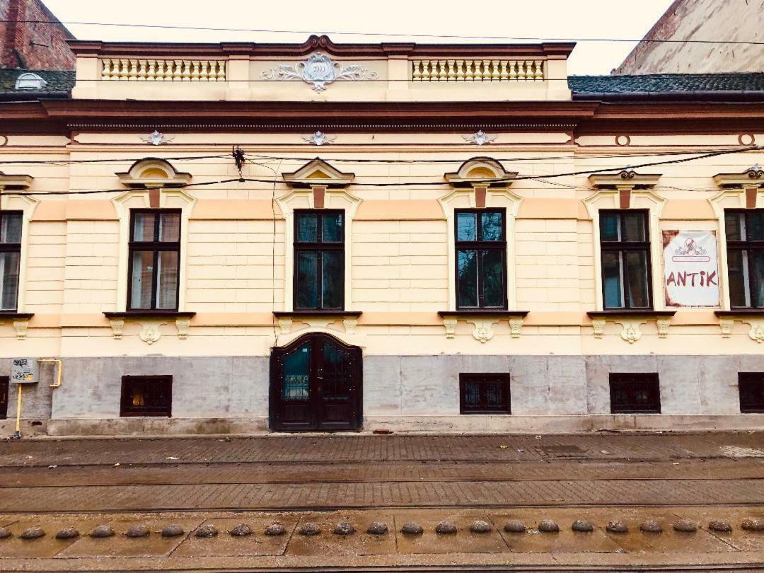Alma Timisoara